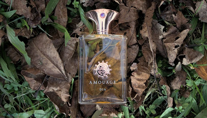 بررسی عطر آمواج دیا مردانه – Amouage Dia Man am24 - بررسی عطر آمواج دیا مردانه – Amouage Dia Man