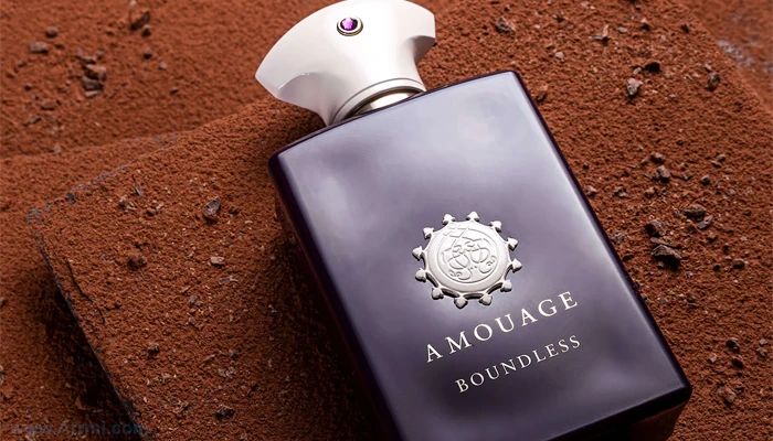 بررسی عطر آمواج باندلس – Amouage Boundless am34 - بررسی عطر آمواج باندلس – Amouage Boundless