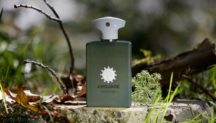 بررسی عطر آمواج پورپوس – Amouage Purpose am39 - بررسی عطر آمواج پورپوس – Amouage Purpose